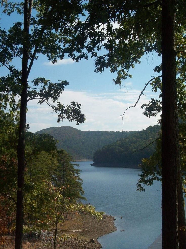 This may contain: a lake surrounded by trees on a sunny day