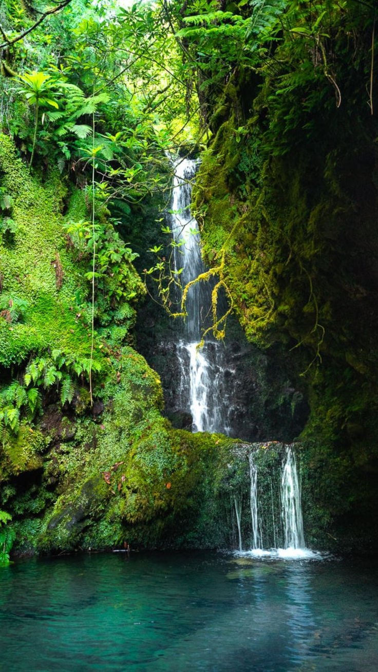 This may contain: a waterfall in the middle of a lush green forest