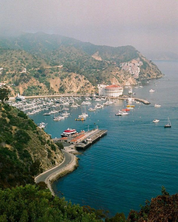 This may contain: a harbor filled with lots of boats on top of a hill next to the ocean