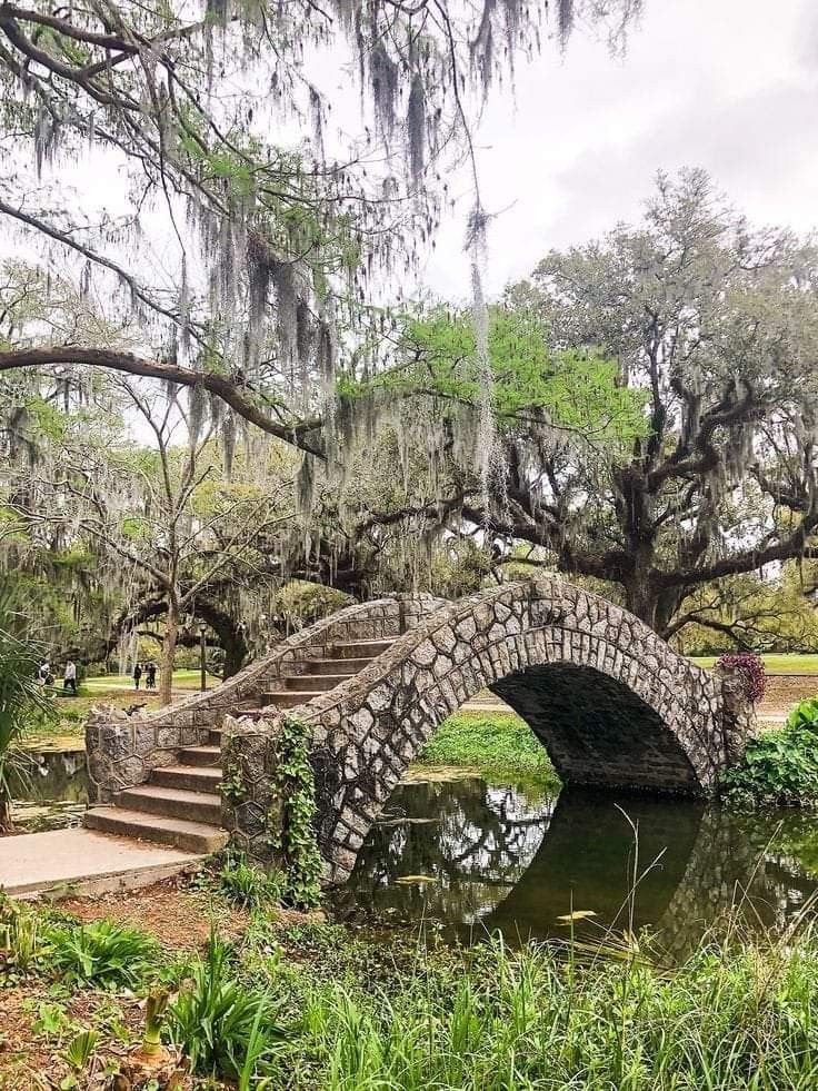 This may contain: a stone bridge over a small pond with moss growing on the trees and grass around it