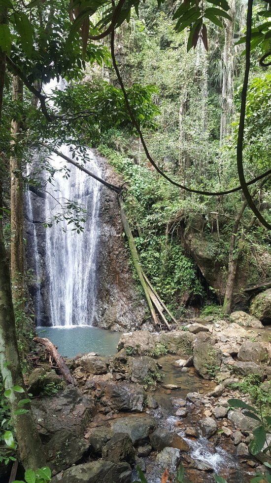 This may contain: a small waterfall in the middle of a forest