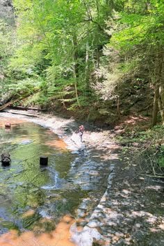 This may contain: a man wading through a river surrounded by trees