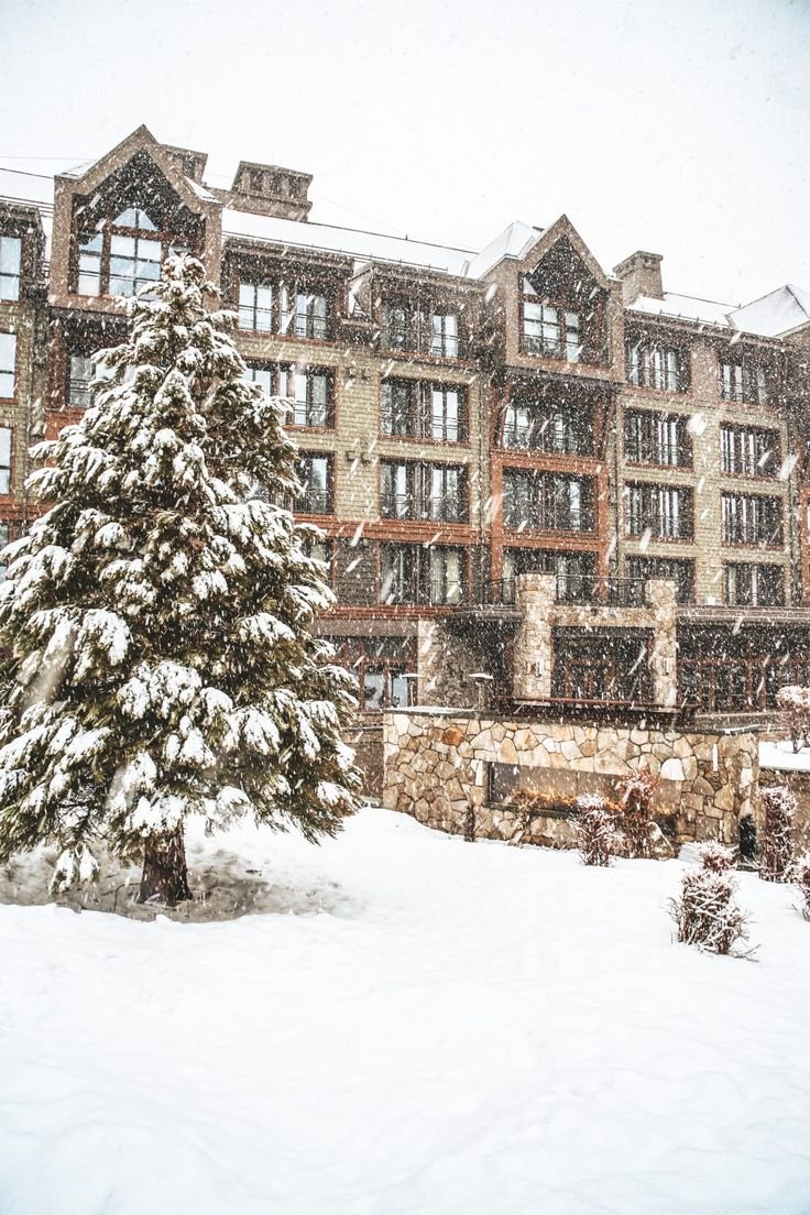This may contain: a snow covered tree in front of a large building