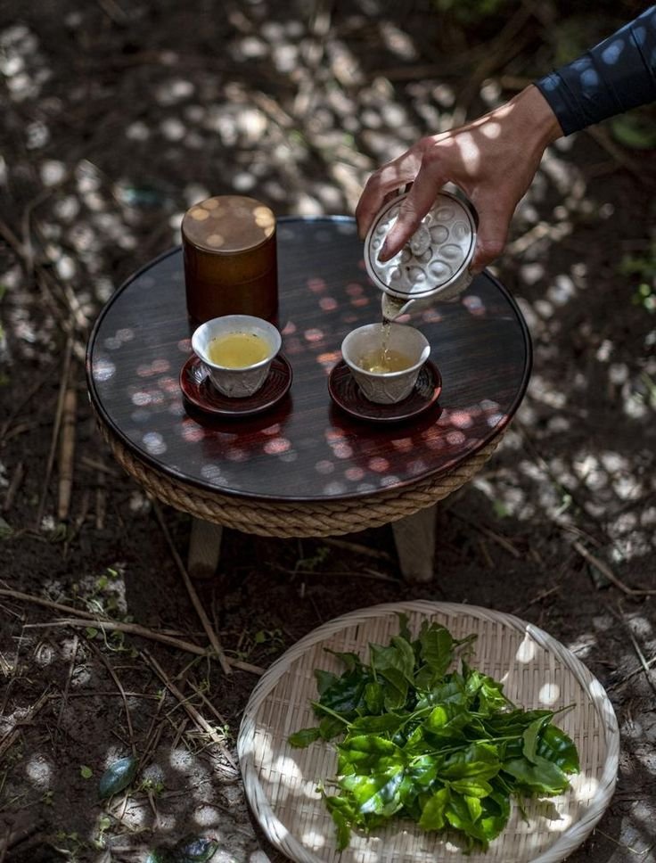 This may contain: a person pours tea into two cups on a small table in the woods,