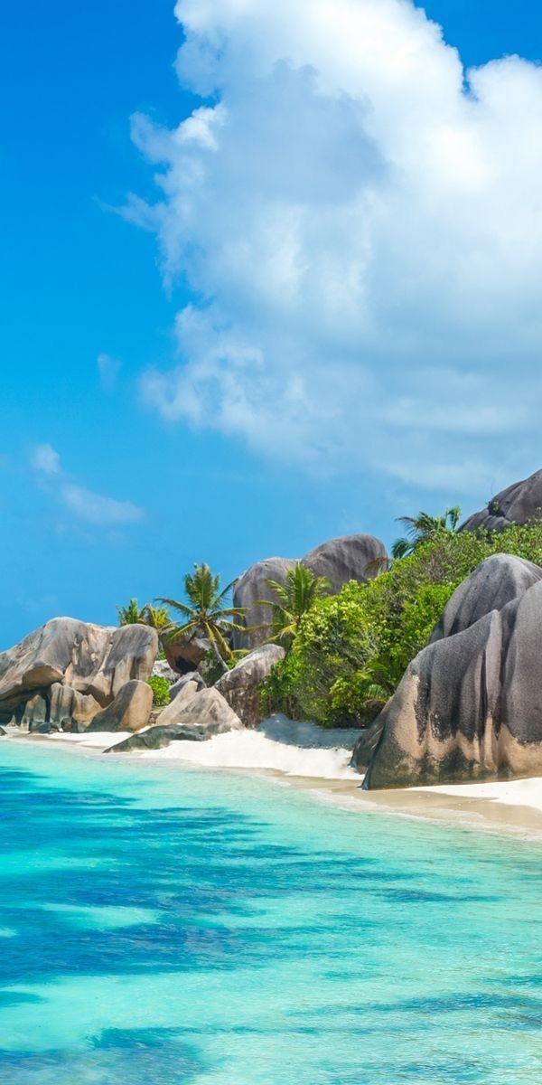 This may contain: an island with rocks and palm trees in the water, surrounded by clear blue waters