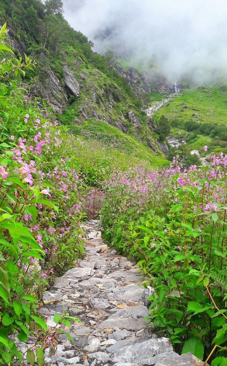 This may contain: a stone path in the middle of a lush green hillside with flowers growing on it