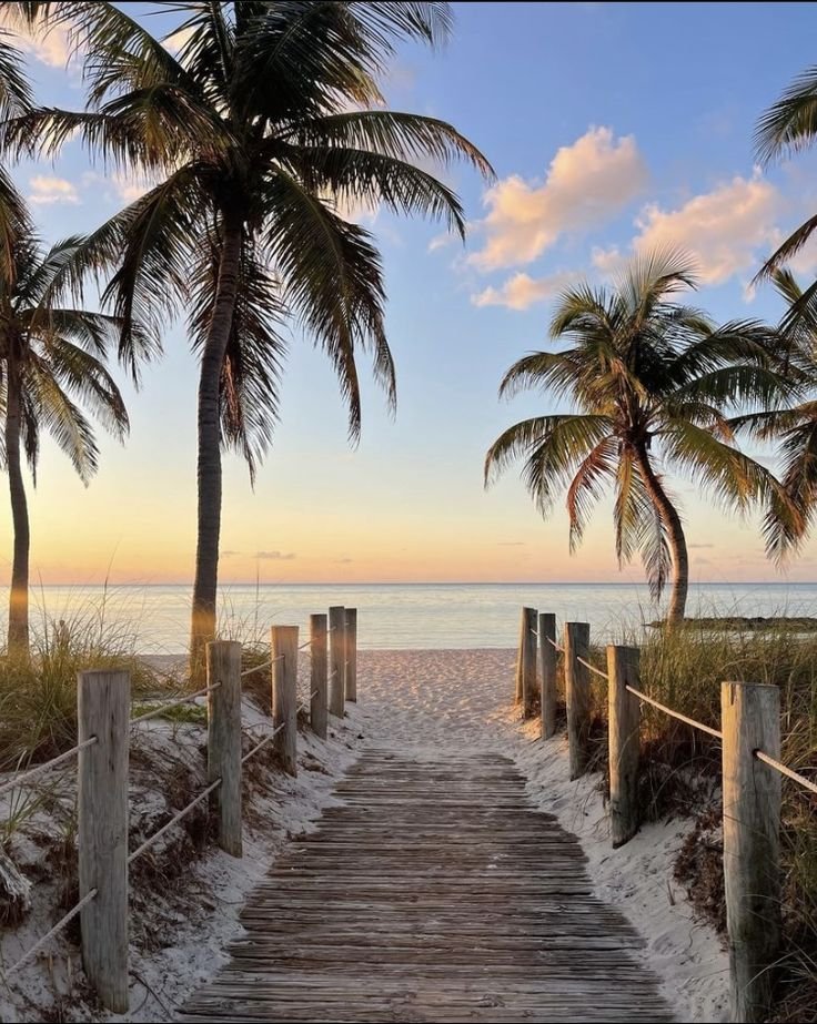 This may contain: a wooden walkway leading to the beach with palm trees