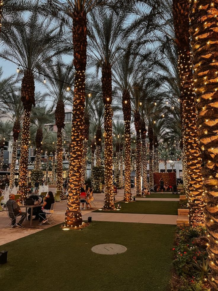 This may contain: palm trees are lit up at night in a park with people sitting on the grass