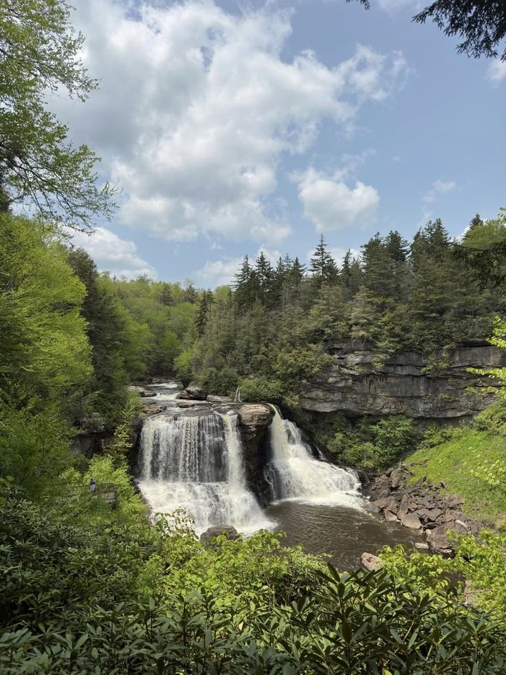 This may contain: a large waterfall surrounded by lush green trees