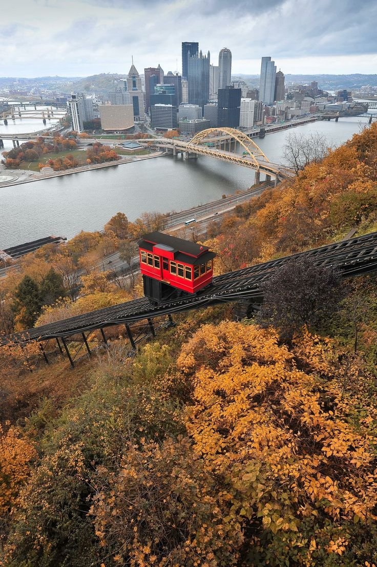 This may contain: a red train traveling down tracks next to a lush green hillside covered in yellow leaves