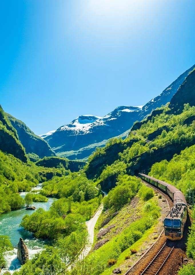This may contain: a train traveling through a lush green valley