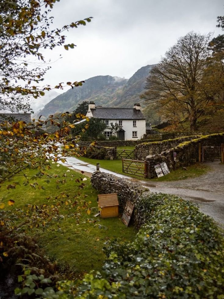 This may contain: a house sitting on the side of a road next to a lush green forest covered hillside