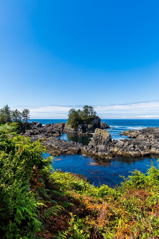This may contain: an island in the middle of some water surrounded by trees and bushes on a sunny day