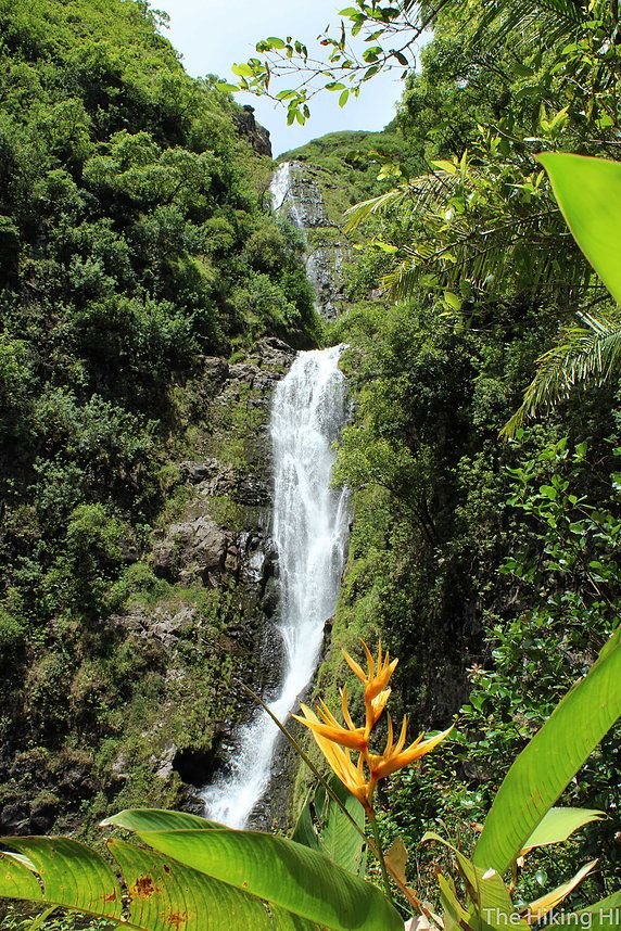 This may contain: the waterfall is surrounded by lush green trees and flowers in the foreground, as well as large leaves
