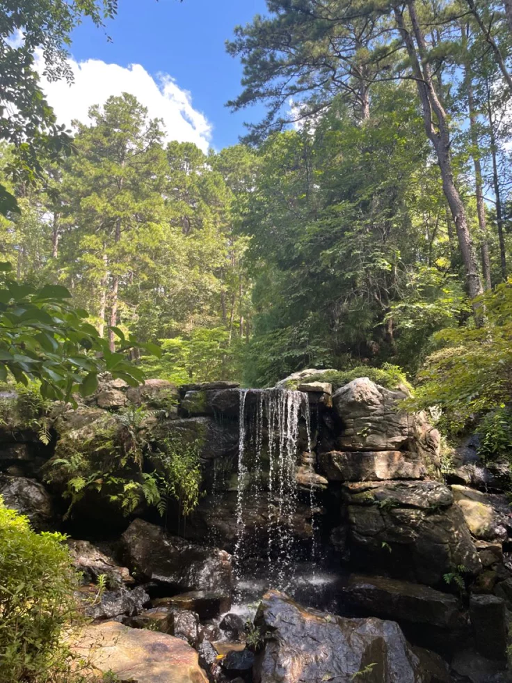 This may contain: a small waterfall in the middle of a forest