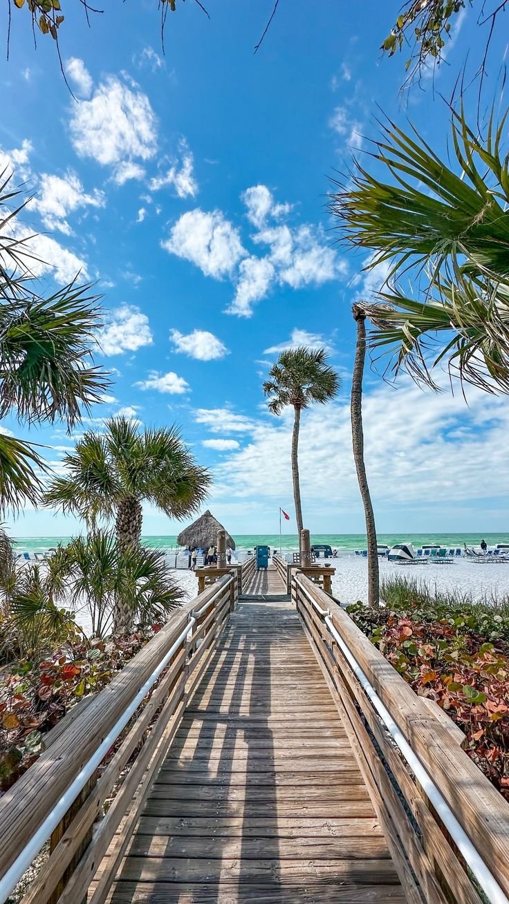This may contain: a wooden walkway leading to the beach with palm trees