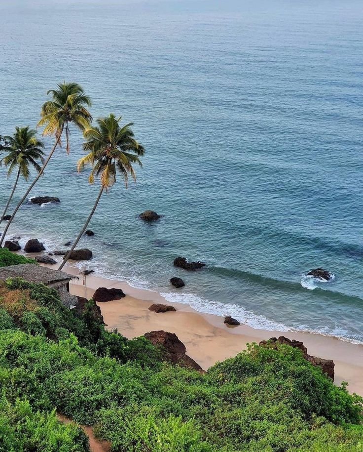 This may contain: the beach is lined with palm trees and rocks