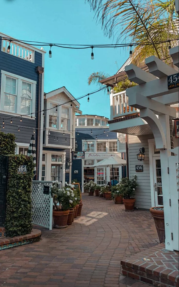 This may contain: an empty street lined with houses and potted plants
