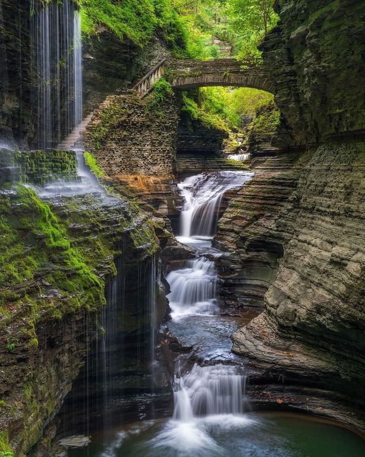 This may contain: a waterfall in the middle of a forest with a bridge over it