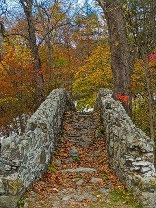 This may contain: a stone bridge surrounded by trees and leaves