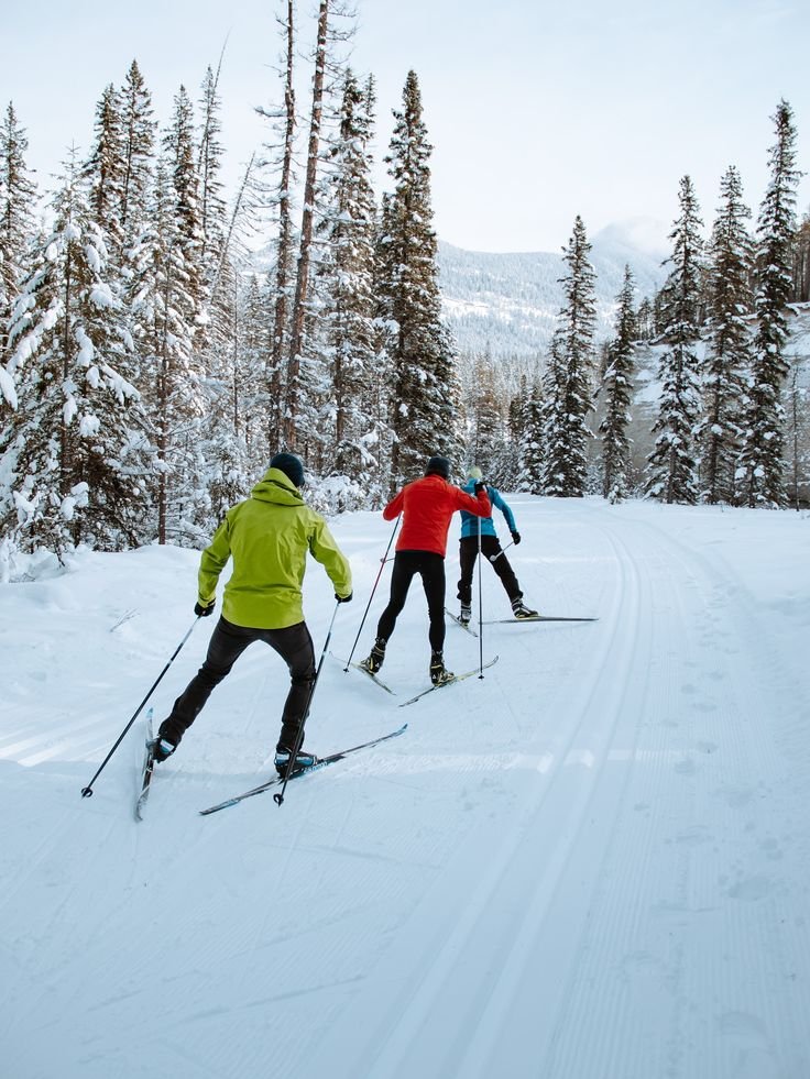 This may contain: three cross country skiers make their way through the snow