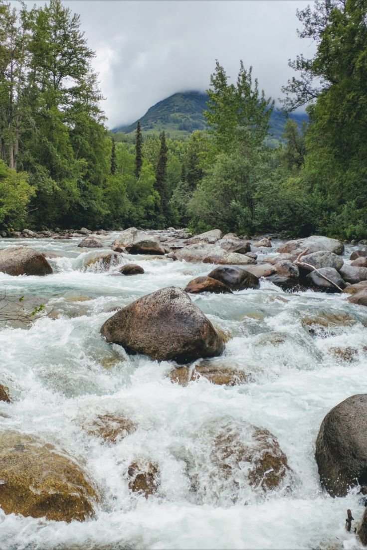 This may contain: a man standing on rocks in the middle of a river surrounded by trees and boulders