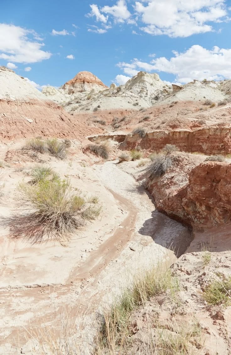 This may contain: a dirt road in the middle of a desert with rocks and grass on both sides