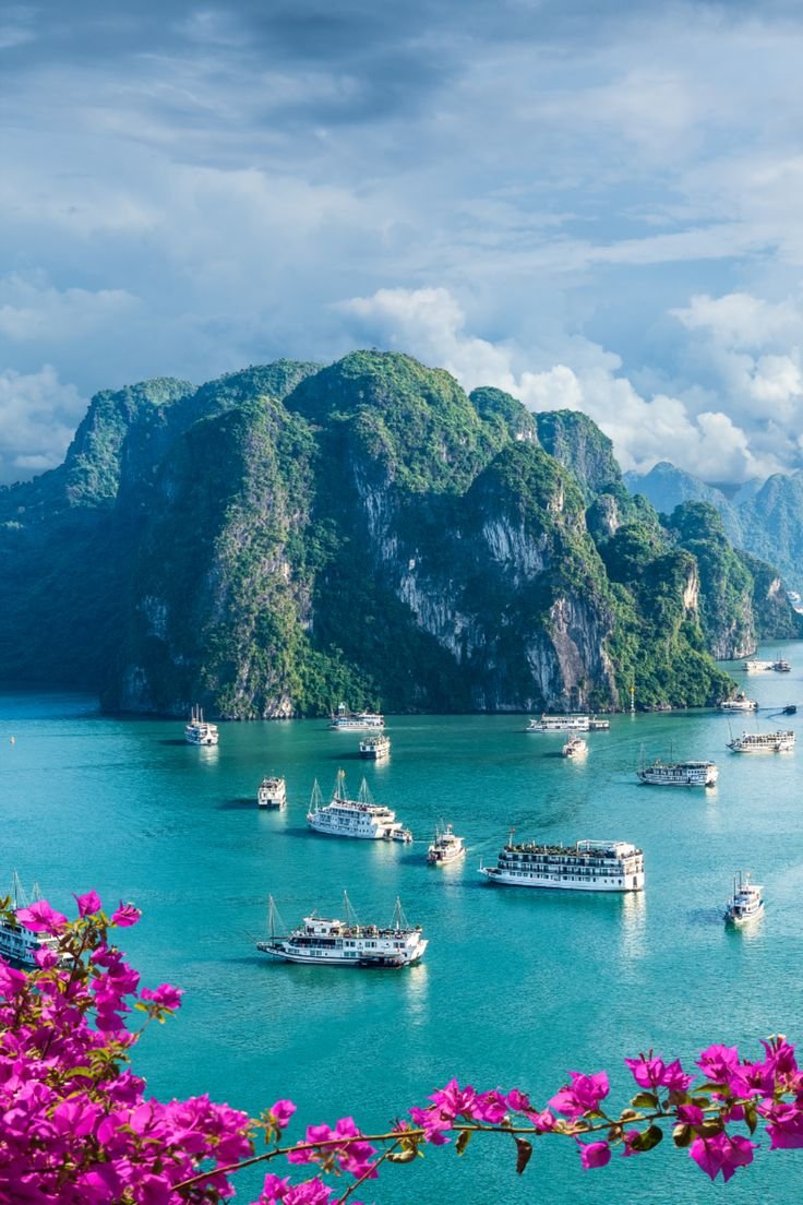 This may contain: many boats are in the water near some mountains and flowers with purple flowers around them