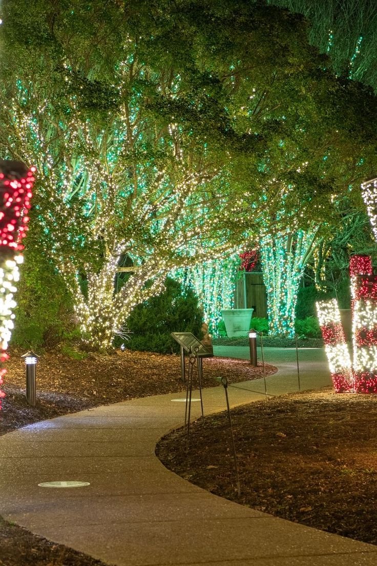 This may contain: a pathway that is lit up with christmas lights