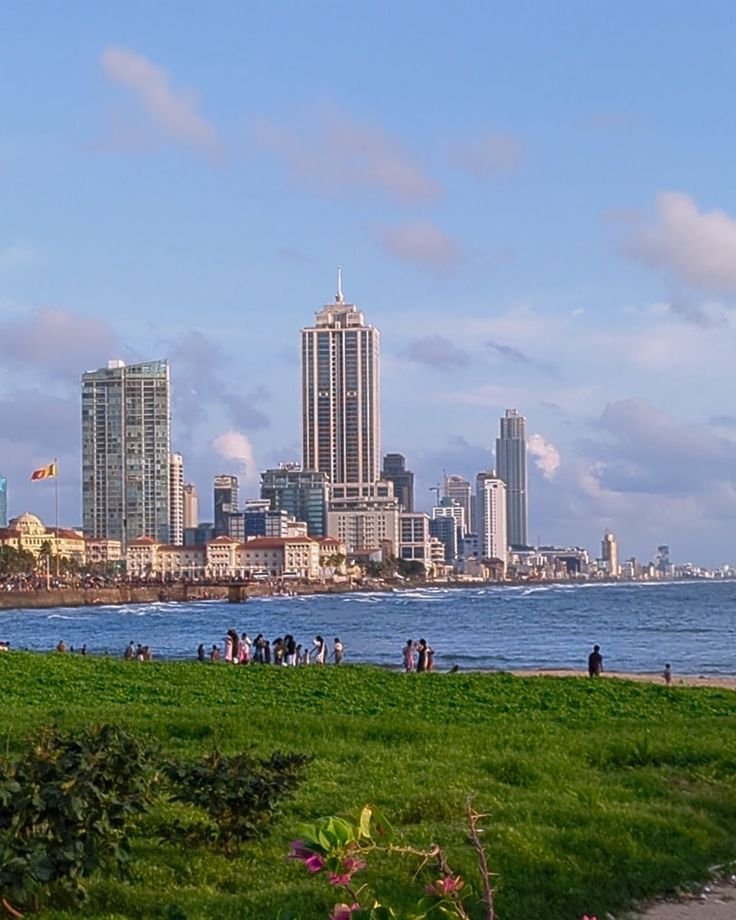 This may contain: people are flying kites near the water in front of tall buildings and green grass