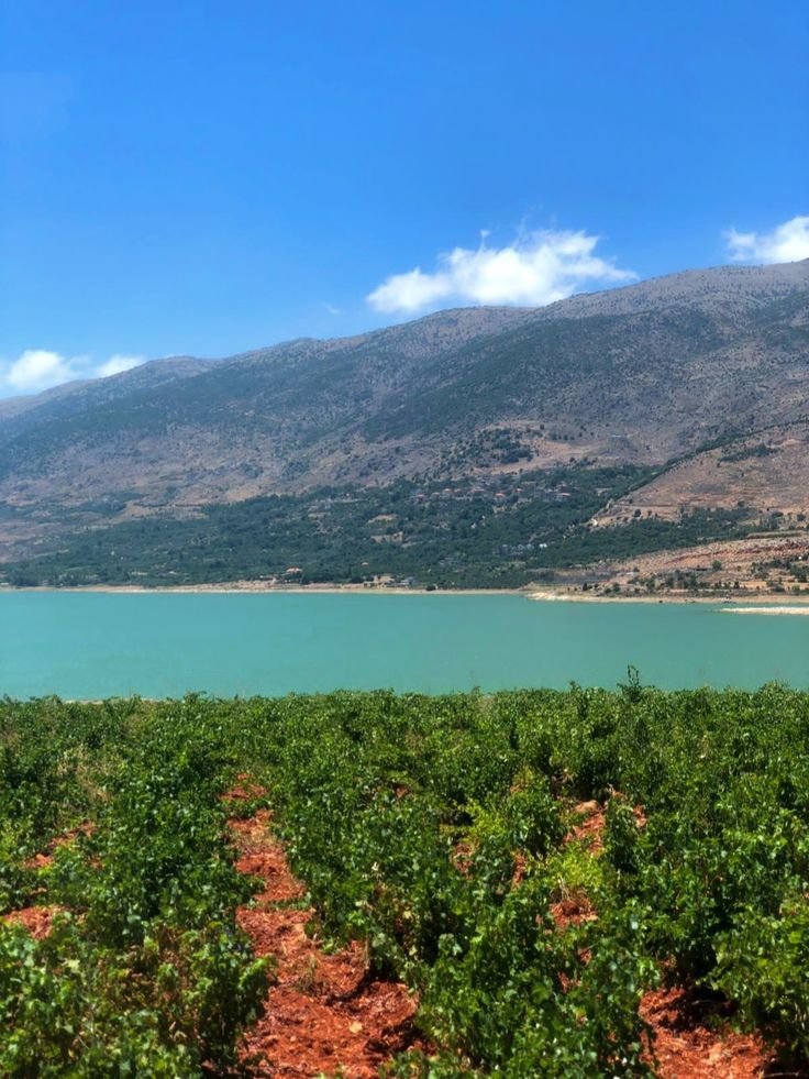This may contain: a large body of water sitting next to a lush green hillside