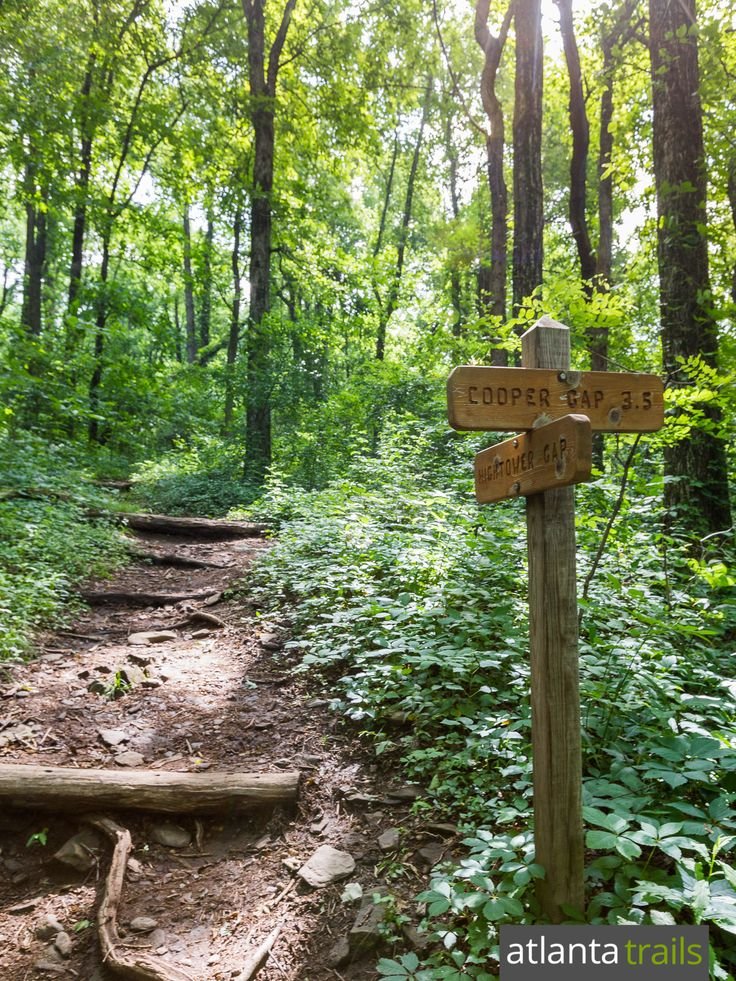 This may contain: a trail in the woods with two wooden signs pointing to opposite directions and another sign that says copper falls