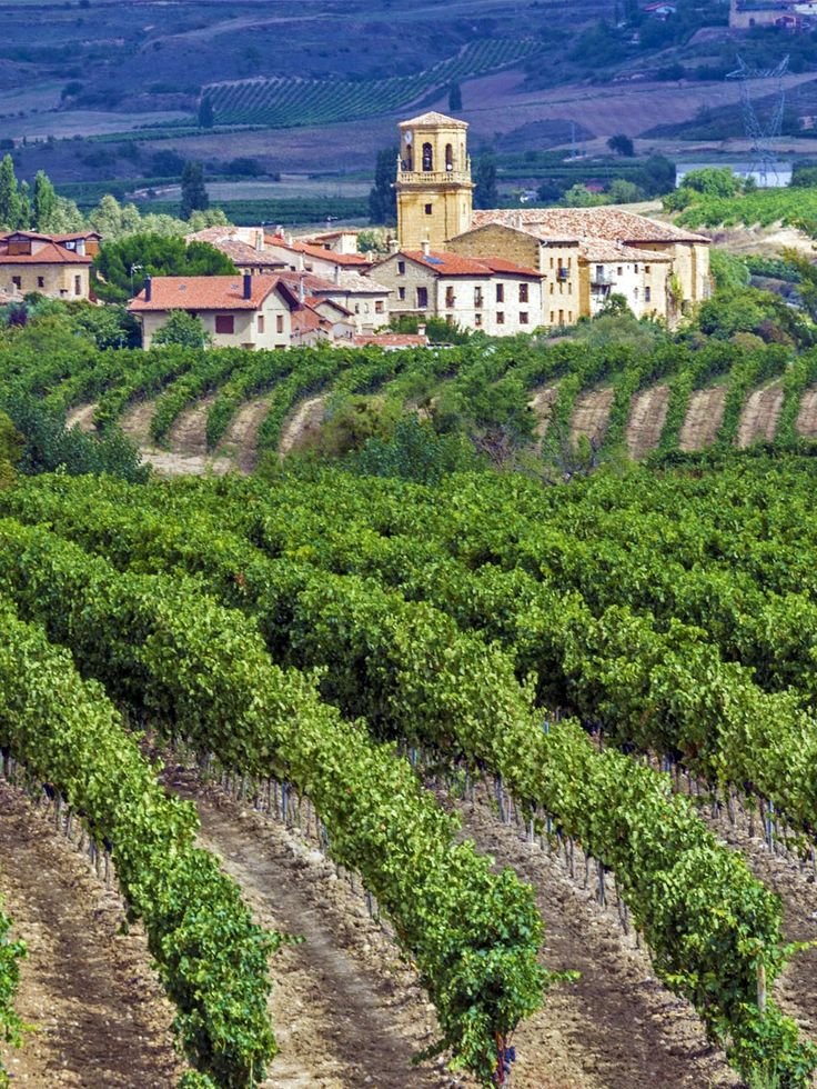 This may contain: an old village sits in the middle of a vineyard
