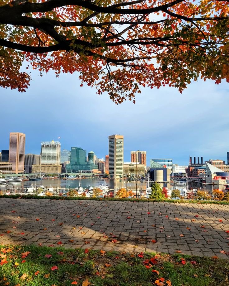 This may contain: the city skyline as seen through some trees with fall leaves on it and brick walkway in foreground