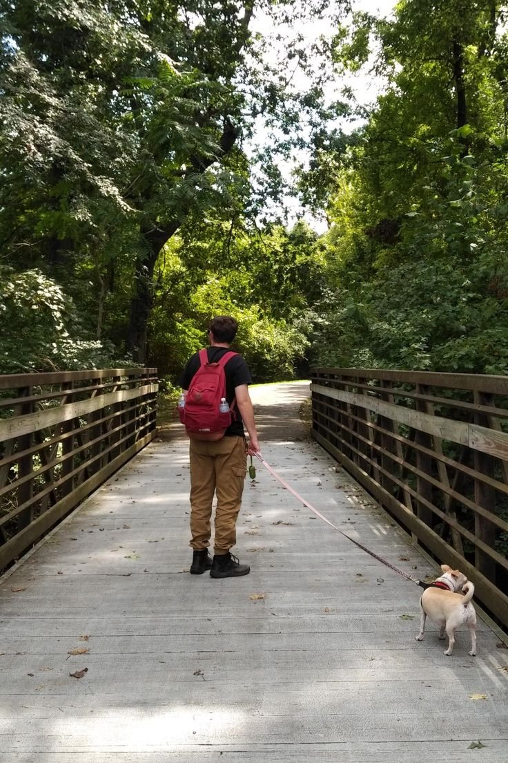This may contain: a man walking his dog across a bridge