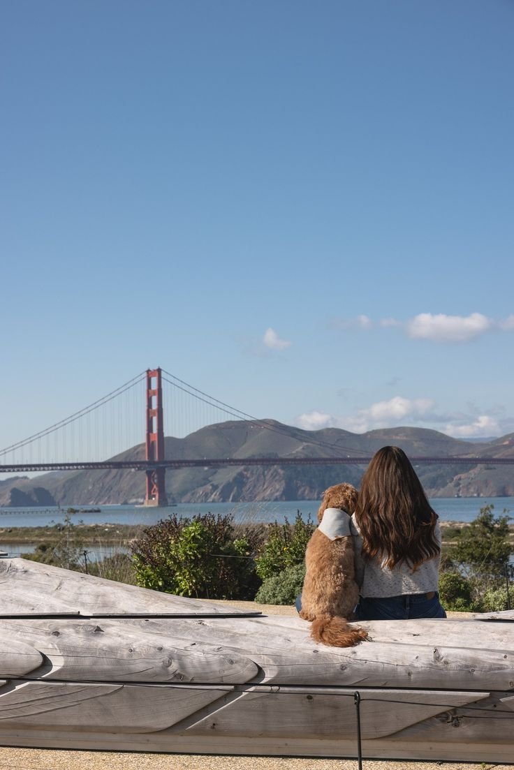 This may contain: a person sitting on a bench with a dog in front of the golden gate bridge