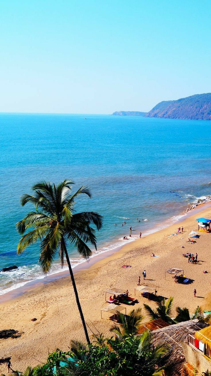 This may contain: the beach is crowded with people and palm trees