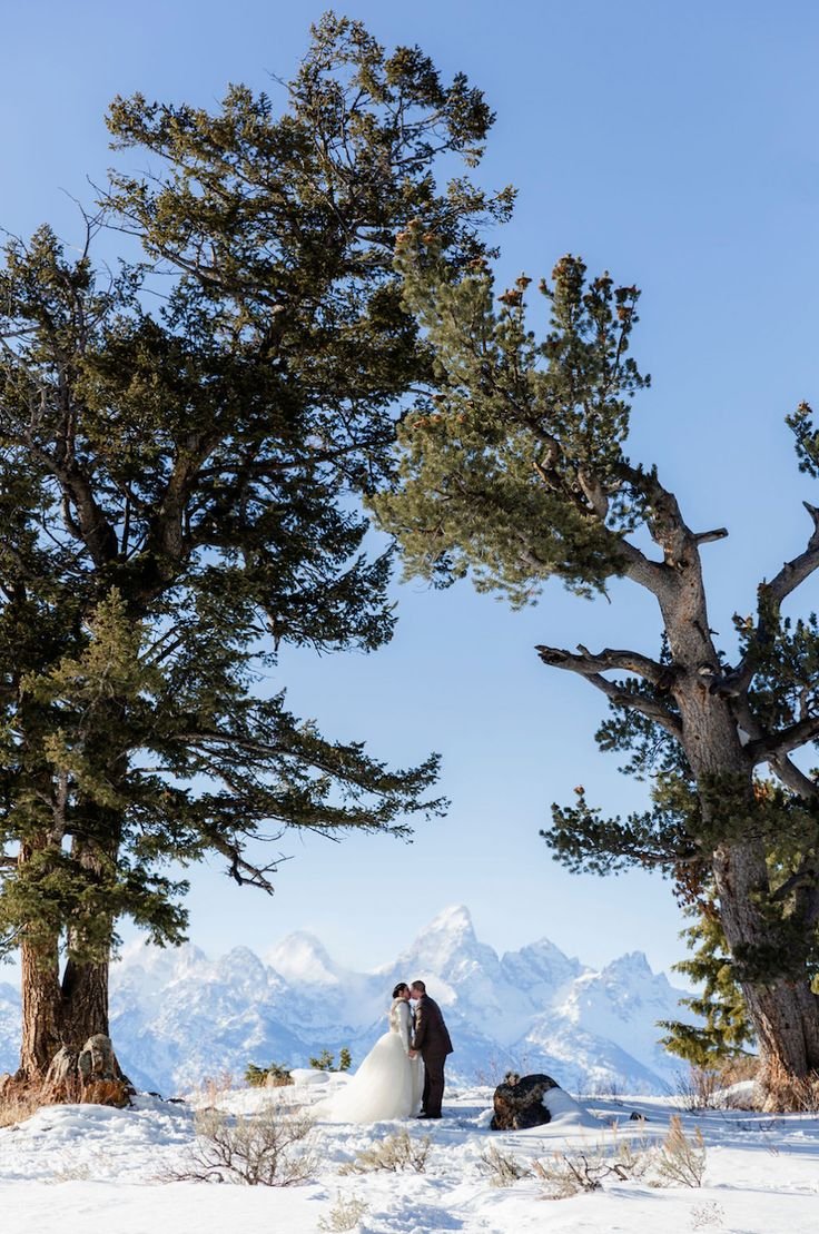 This may contain: a bride and groom standing in the snow between two trees with mountains in the background