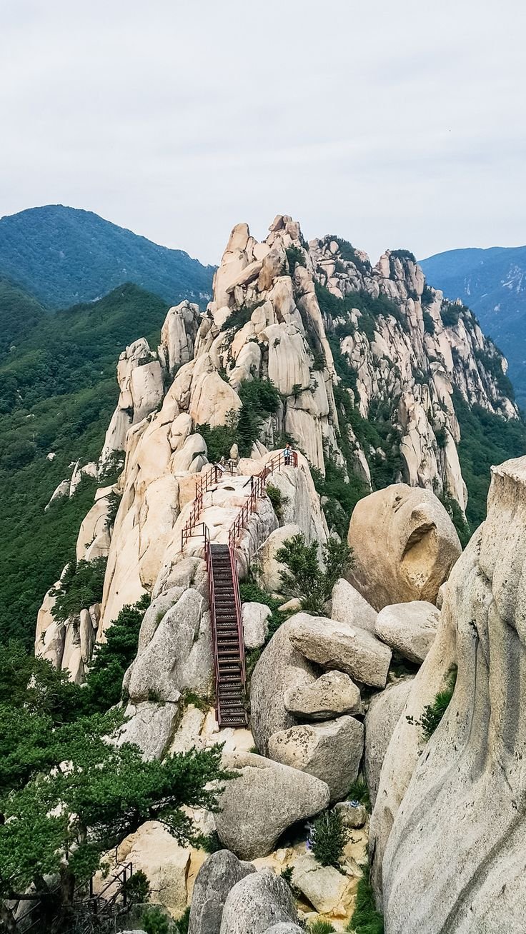 This may contain: stairs leading up to the top of a mountain with rocks and trees in the foreground