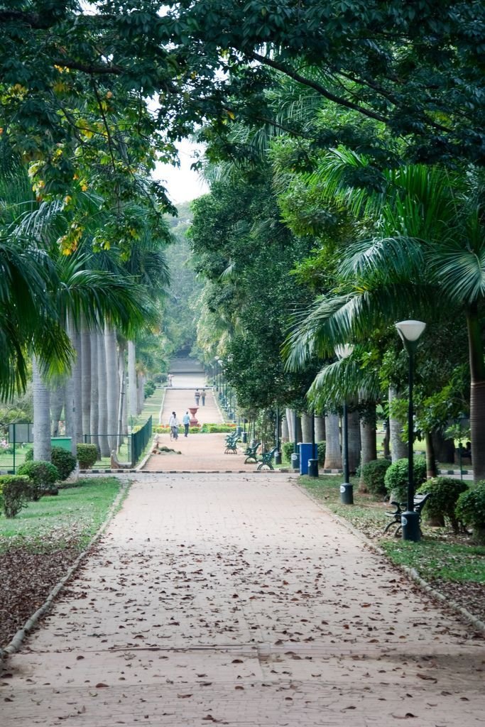 This may contain: the walkway is lined with palm trees and tall white pillars in front of a building