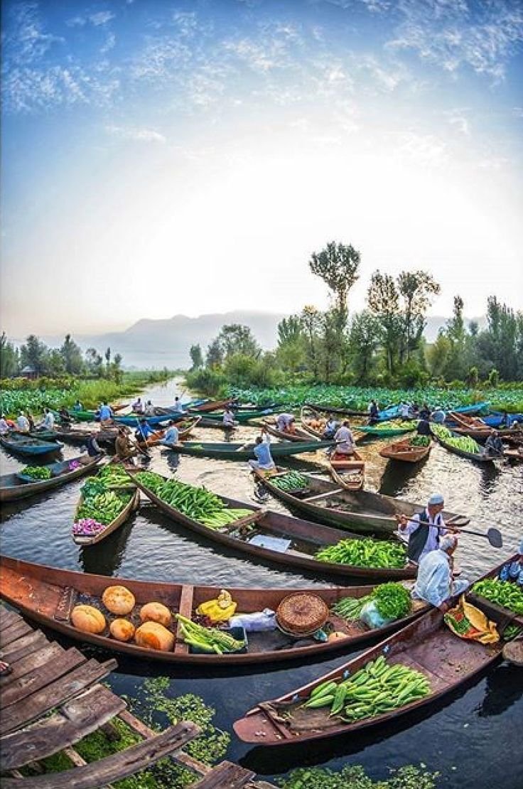 This may contain: many small boats are lined up on the water with vegetables in them and people standing around