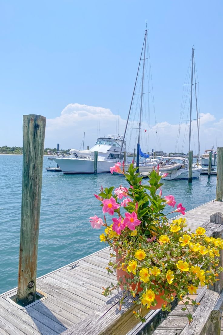 This may contain: a boat docked at a pier with flowers in the foreground and boats in the background