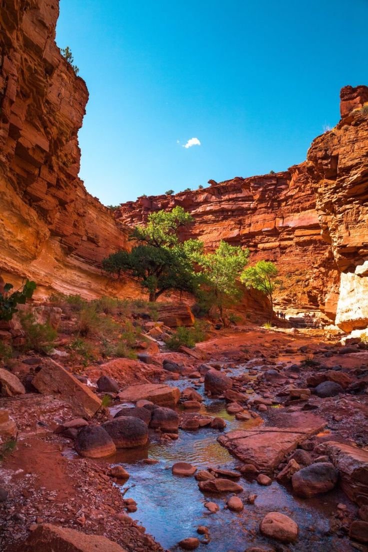 This may contain: a river running through a canyon surrounded by red rocks