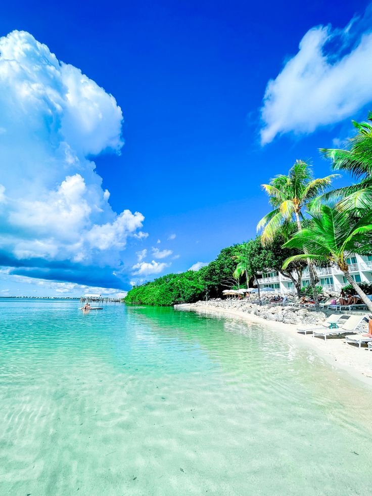This may contain: a beach with palm trees and chairs under a blue sky filled with white clouds in the distance