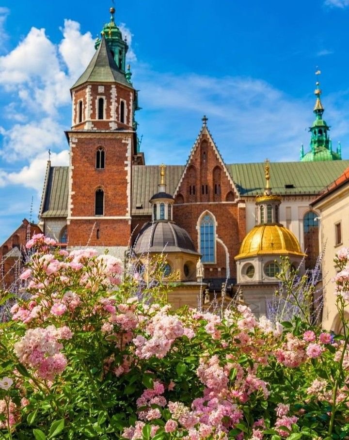 This may contain: the building has many windows and towers on it's sides, with pink flowers in front