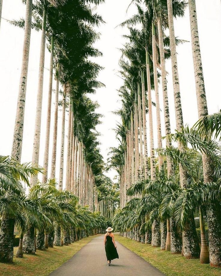 This may contain: a woman is walking down the road between tall palm trees and grass on both sides