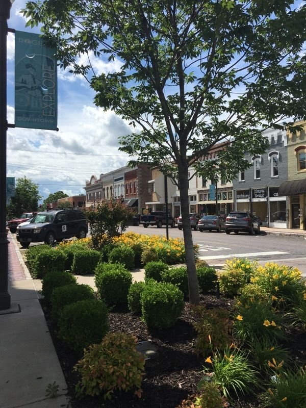 This may contain: a street with cars parked on the side of it next to trees and bushes in front of buildings