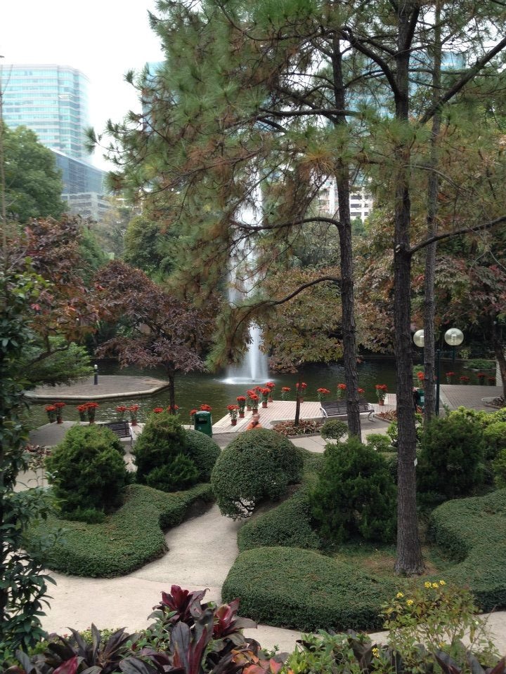 This may contain: a park with lots of trees and bushes