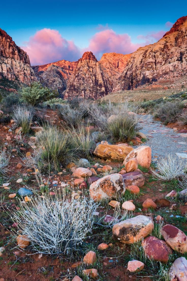 This may contain: some rocks and plants in the middle of a desert area with mountains in the background
