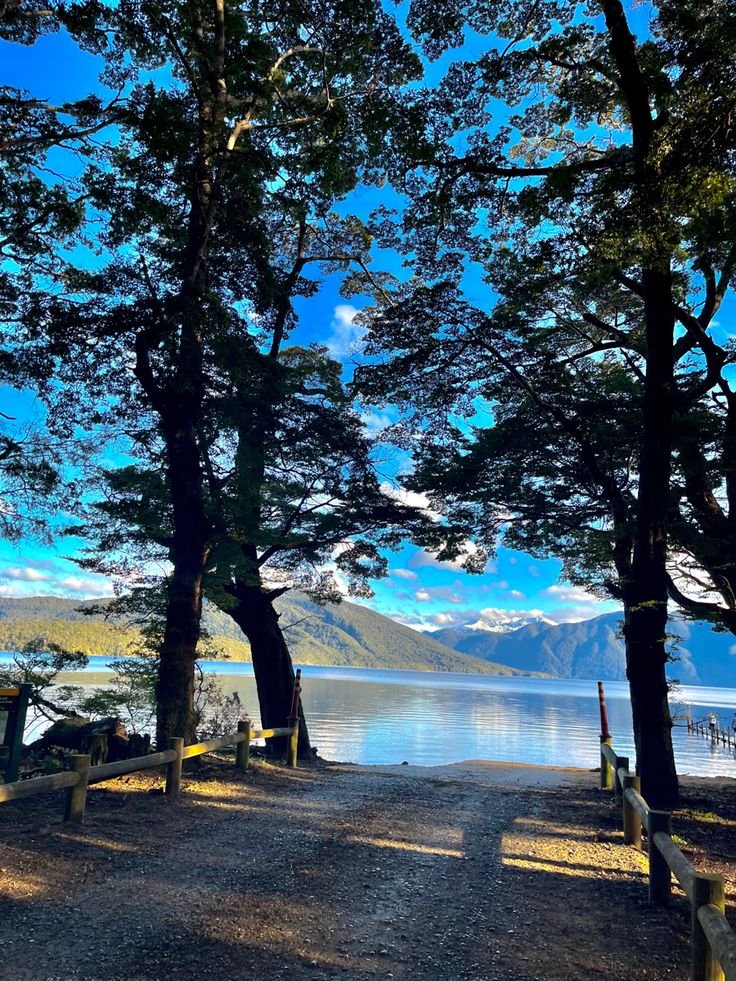 This may contain: trees line the edge of a path near water and mountains in the distance with blue skies above